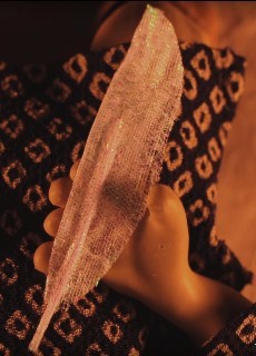 Feather Robe from Heaven