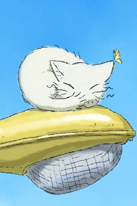 The streetlight and the cat