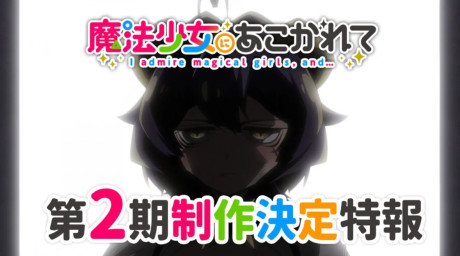 Gushing Over Magical Girls